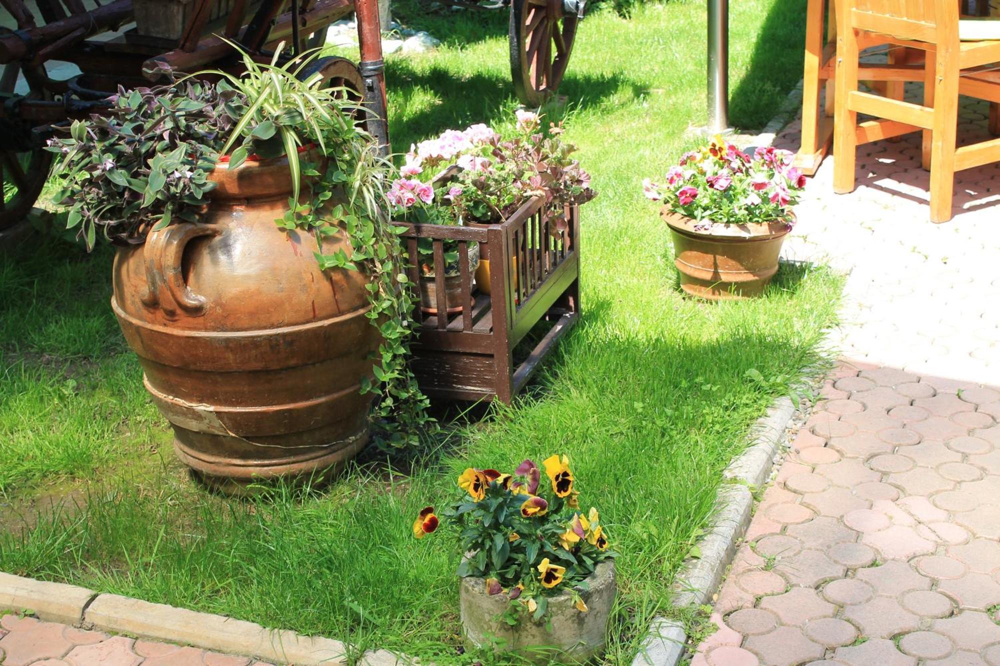 Pension Tip-Top Targu Mures Ngoại thất bức ảnh