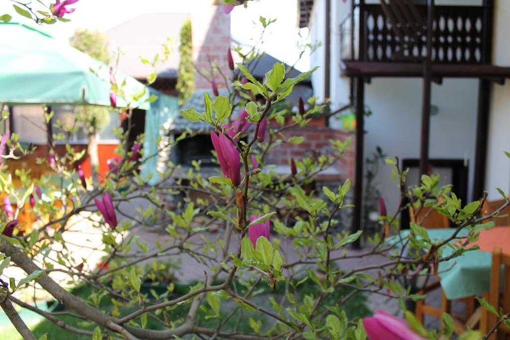 Pension Tip-Top Targu Mures Ngoại thất bức ảnh