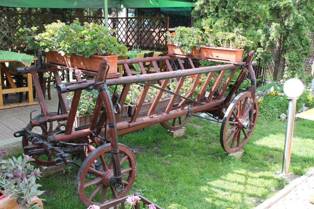 Pension Tip-Top Targu Mures Ngoại thất bức ảnh